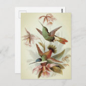 Carte Postale Illustration d'oiseaux vintages (Devant / Derrière)
