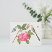 Carte Postale Illustration d'oiseaux vintages (Debout devant)