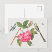 Carte Postale Illustration d'oiseaux vintages (Devant / Derrière)