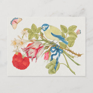 Carte Postale Illustration d'oiseaux vintages