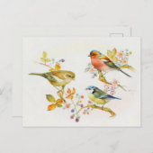 Carte Postale Illustration d'oiseaux vintages (Devant / Derrière)