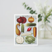 Carte Postale Illustration du catalogue des semences de légumes  (Debout devant)