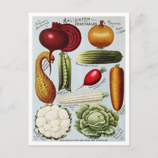 Carte Postale Illustration du catalogue des semences de légumes  (Devant)