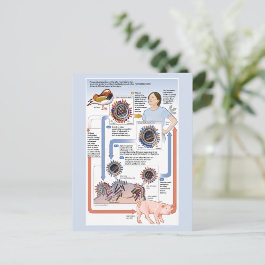 Carte Postale Illustration du changement antigénique (grippe) (Debout devant)