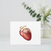 Carte Postale Illustration Du Coeur Humain (Debout devant)