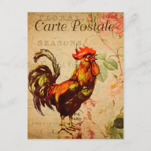 Carte Postale Illustration du coq de poulet vintage en français