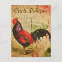 Illustration du coq de poulet vintage en français