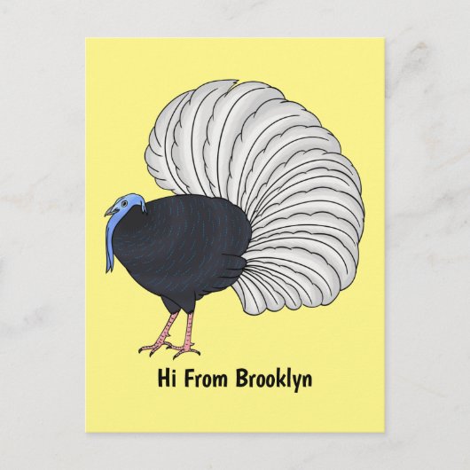 Carte Postale Illustration du faisan de Bulwer (Devant)