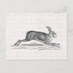 Carte Postale Illustration du lapin lapin lièvre vintage des ann