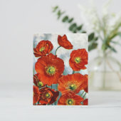 Carte Postale Illustration du pavot d'Islande en 1922 (Debout devant)