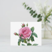 Carte Postale Illustration du Rose vintage (Debout devant)