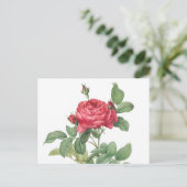 Carte Postale Illustration du Rose vintage (Debout devant)