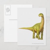Carte Postale Illustration d'un Camarasaurus (Devant / Derrière)