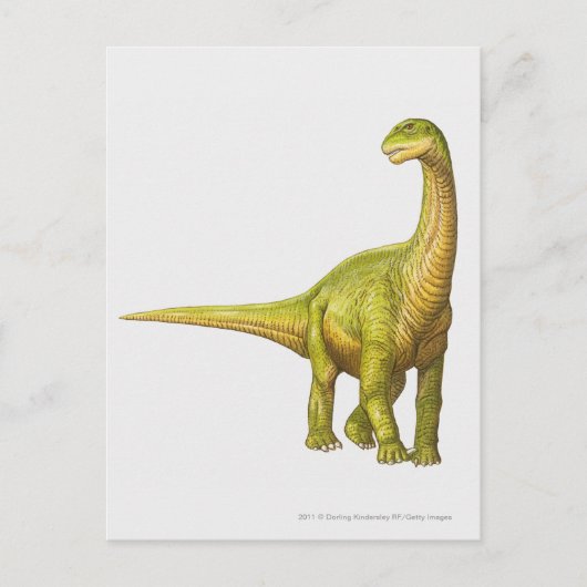 Carte Postale Illustration d'un Camarasaurus (Devant)