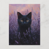 Carte Postale Illustration d'un chat noir dans un champ de lavan (Devant)