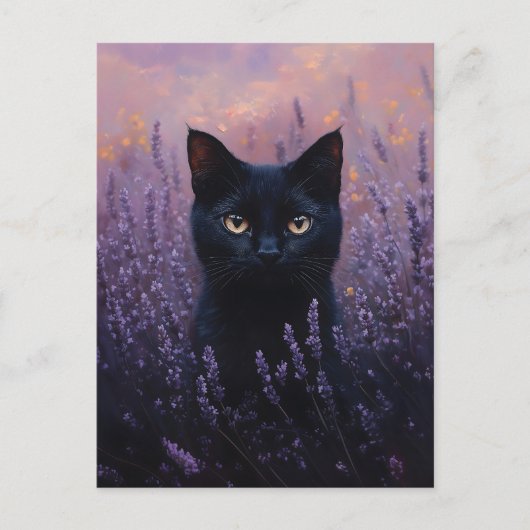Carte Postale Illustration d'un chat noir dans un champ de lavan (Devant)