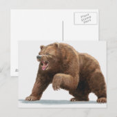 Carte Postale Illustration d'un ours Brown (Devant / Derrière)
