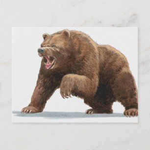 Carte Postale Illustration d'un ours Brown