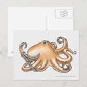 Carte Postale Illustration d'une pieuvre (Devant / Derrière)