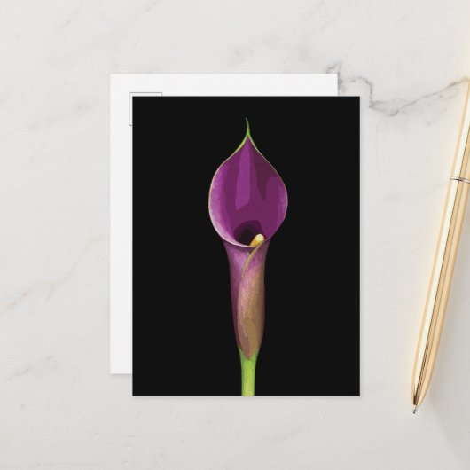 Carte Postale Illustration élégante de calla violet (Devant/Arrière en situation)