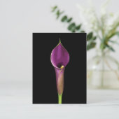 Carte Postale Illustration élégante de calla violet (Debout devant)