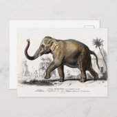Carte Postale Illustration Eléphant Art Vintage Imprimer (Devant / Derrière)