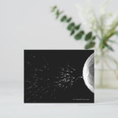 Carte Postale Illustration en noir et blanc de la fécondation (Debout devant)