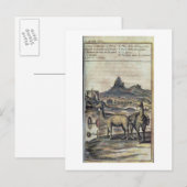 Carte Postale Illustration from a history of Pérou (Devant / Derrière)