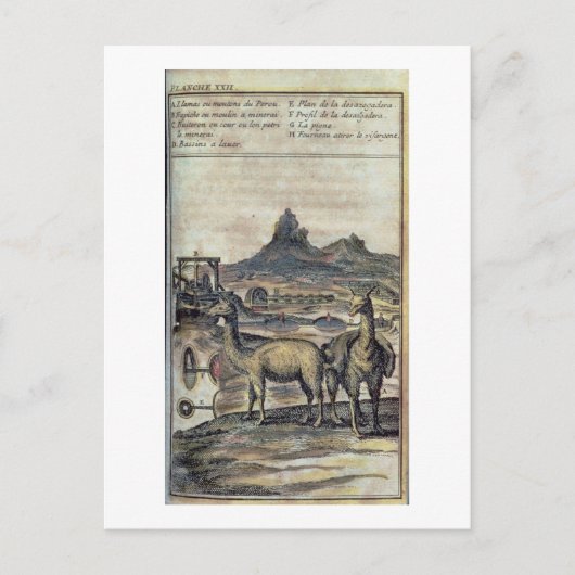 Carte Postale Illustration from a history of Pérou (Devant)