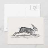 Carte Postale Illustration lapin lièvre vintage - lapins (Devant / Derrière)
