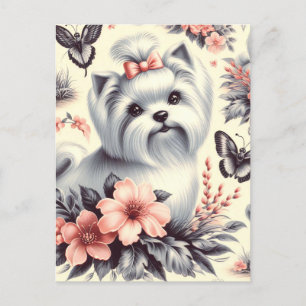Carte Postale Illustration maltaise vintage
