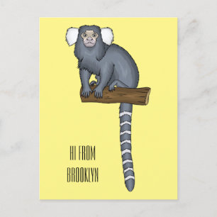 Carte Postale Illustration marmoset commune