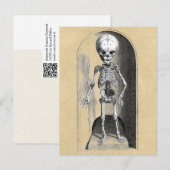 Carte Postale Illustration Médicale de Bidloo (antérieure) (Devant / Derrière)