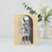 Carte Postale Illustration Médicale de Bidloo (antérieure) (Debout devant)