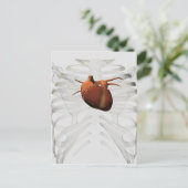 Carte Postale Illustration Médicale De La Cage Du Coeur Et De La (Debout devant)