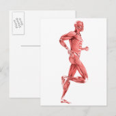 Carte Postale Illustration Médicale Des Muscles Hommes Courant 2 (Devant / Derrière)