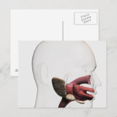 Carte Postale Illustration Médicale Du Digestif Humain (Devant / Derrière)