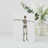 Carte Postale Illustration Médicale Du Squelette Féminin Complet (Debout devant)