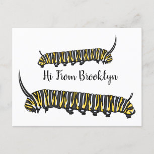 Carte Postale Illustration Monarch caterpillar
