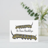 Carte Postale Illustration Monarch caterpillar (Debout devant)