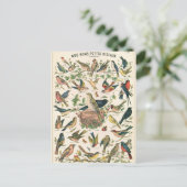 Carte Postale Illustration nos bons petits oiseaux (Debout devant)
