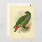 Carte Postale illustration oiseau (Devant / Derrière)