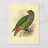 Carte Postale illustration oiseau (Devant)