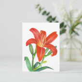 Carte Postale Illustration Orange Lily Botanical (Debout devant)