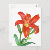 Carte Postale Illustration Orange Lily Botanical (Devant / Derrière)
