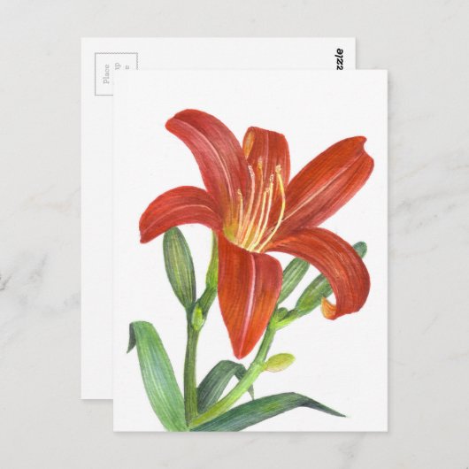 Carte Postale Illustration Orange Lily Botanical (Devant / Derrière)