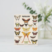 Carte Postale Illustration papillons (Debout devant)
