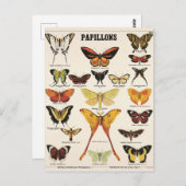 Carte Postale Illustration papillons (Devant / Derrière)