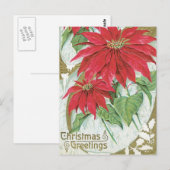 Carte Postale Illustration Poinsettia vintage (Devant / Derrière)