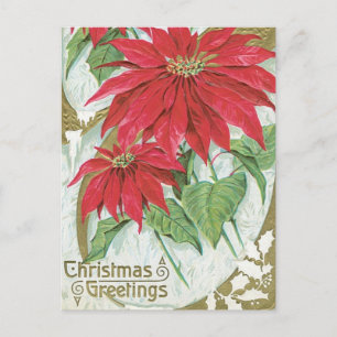 Carte Postale Illustration Poinsettia vintage